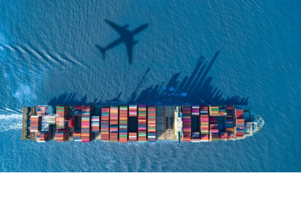 SHIPMENT & DISTRIBUTION